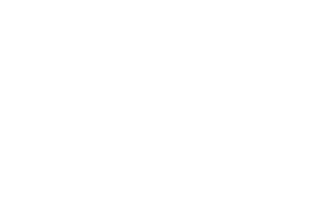 tataelxsi logo